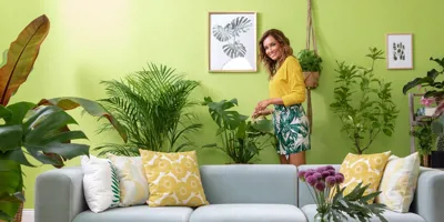 Grünes Zuhause: Zimmerpflanzen richtig pflegen