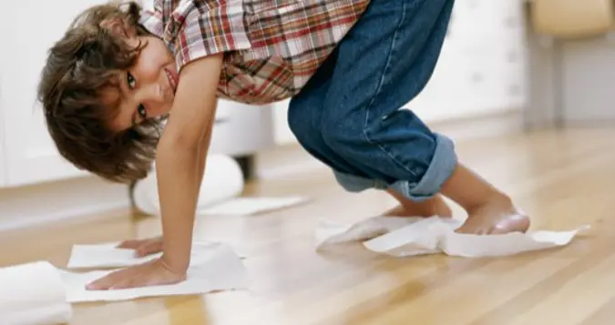 Zewa Háztartási higiénia