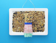 bird feeders for kids 07
