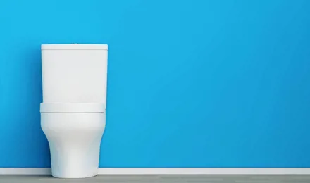 toilette reinigen
