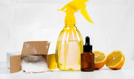 6 натурални продукти за почистване (без дезинфекция ) на къщата