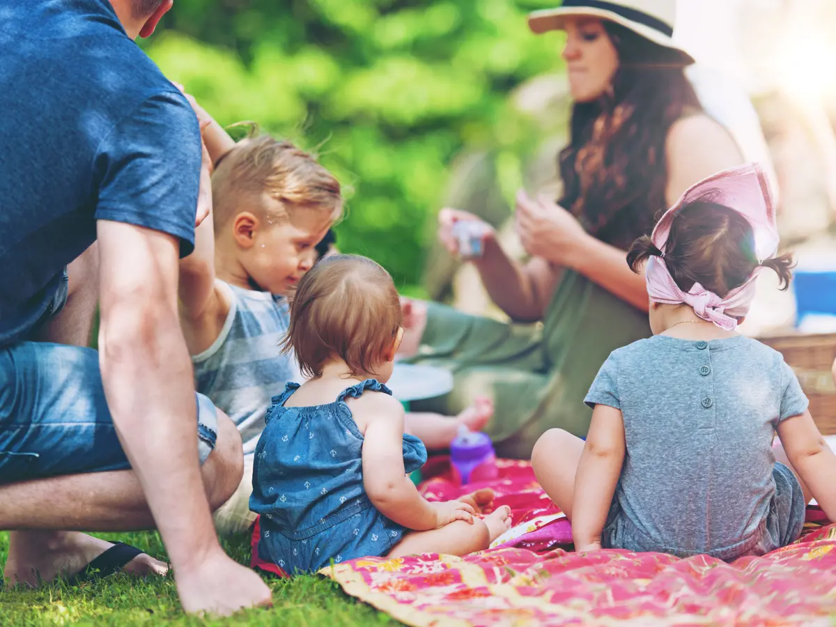 Image for section 5 фантастични идеи за семеен пикник