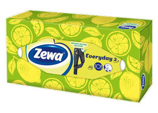 Zewa Everyday