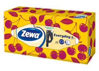 Zewa Everyday