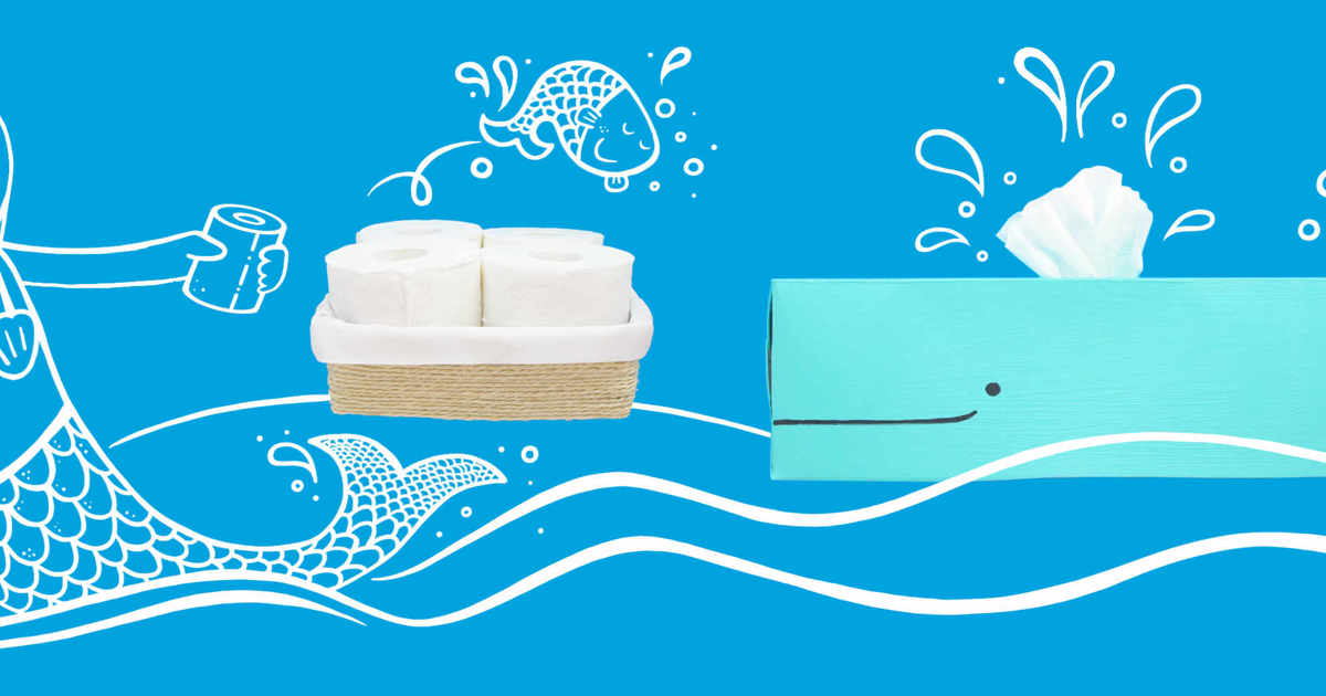 thunfisch aufbewahren kühlschrank in Mousse 85g – Schesir Ausführung:Einzelne Aufbewahrungsbox Ein Besteckkasten sorgt für mini refrigerator for insulin