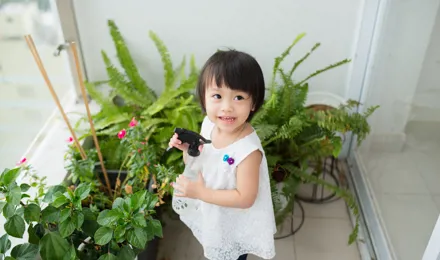 5 tipů, jak správně pečovat o pokojové rostliny