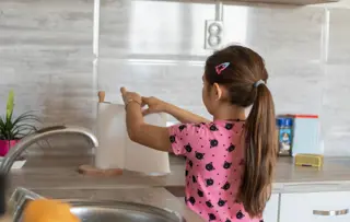 Zewa Produkte mit Frischfasern aus Holz