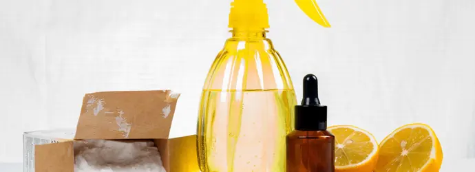 καθαριστικα σπιτιου χωρισ χημικα