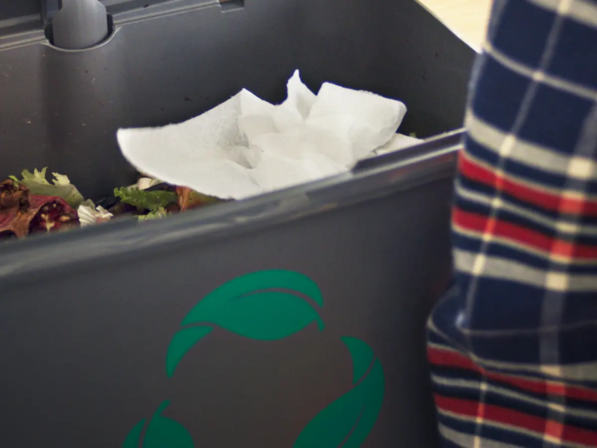 Image for section Zewa Wisch&Weg - saugstark und kompostierbar 