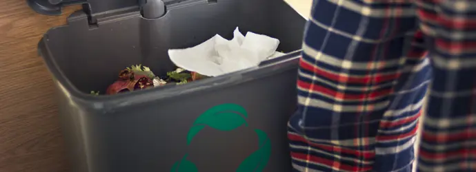 Die neue, kompostierbare Zewa Wisch&Weg Küchenrolle