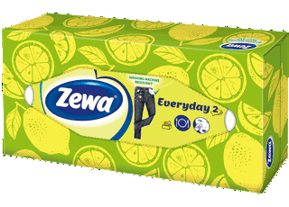 Zewa Everyday