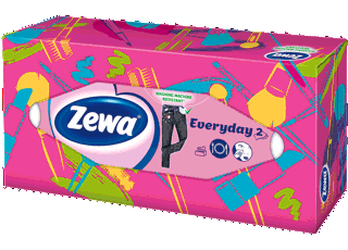 Zewa Everyday