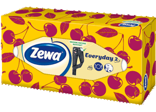 Zewa Everyday