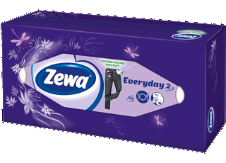Zewa Everyday