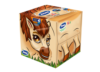 Zewa Farm Box