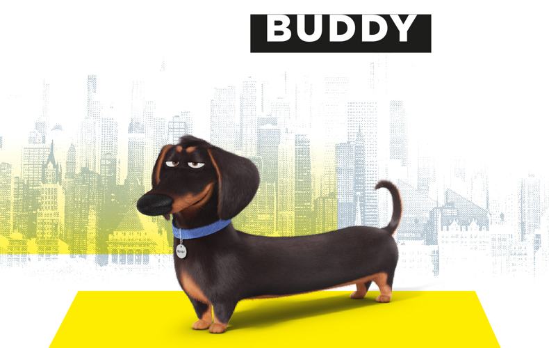 Buddy