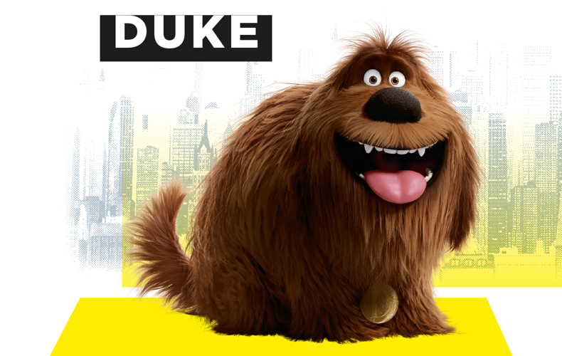 Duke