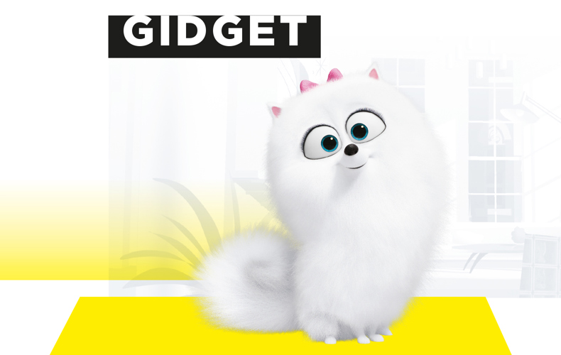Gidget