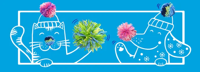 Pompoms Basteln