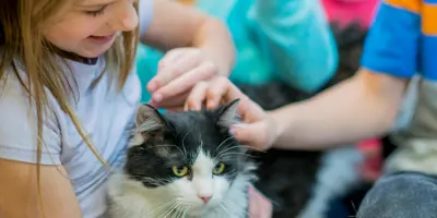 Алергія На Котів