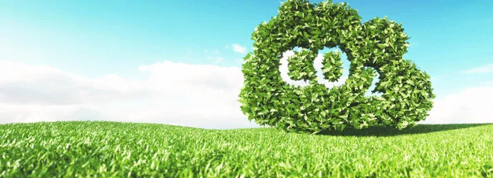 Minimizarea amprentei de carbon a produselor noastre