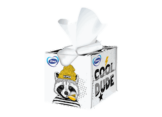 Zewa Kids Cube