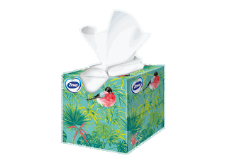 Zewa Deluxe Aroma