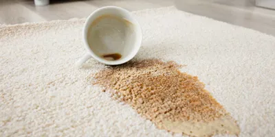 Kako skinuti fleku od kafe sa tepiha i nameštaja
