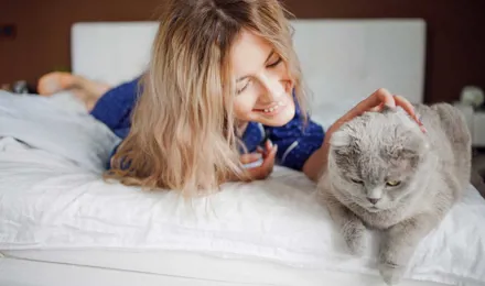 Simptomi alergije na mačke: kako otkritii alergiju na mačke