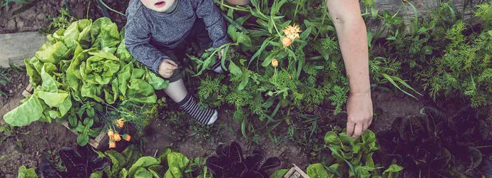  Ребенок учится, как быть более экологичным с его родителями в саду