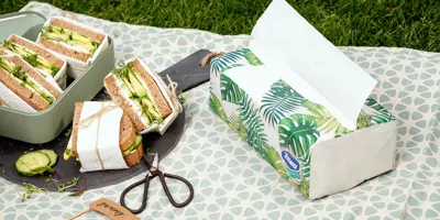 Vegetarische Sandwiches mit Avocado und Frischkäse - im Freien oder beim Picknick genießen!