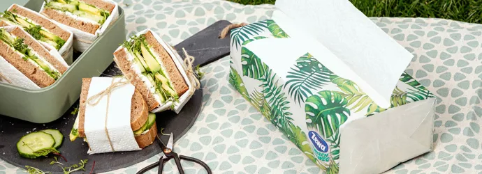 Vegetarische Sandwiches mit Avocado und Frischkäse - im Freien oder beim Picknick genießen!