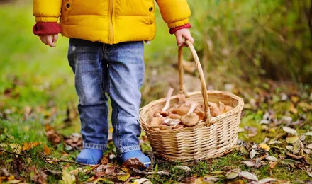 Gyermek szabadban gombászik egy fonott kosárral