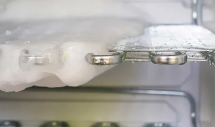 Розморожені полиці морозильної камери