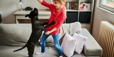 Ein kleiner Hund liegt auf rosafarbenen Kissen, im Hintergrund ein Mann und ein Baby