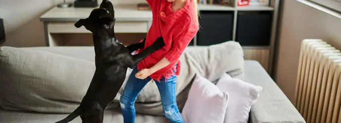 Ein kleiner Hund liegt auf rosafarbenen Kissen, im Hintergrund ein Mann und ein Baby