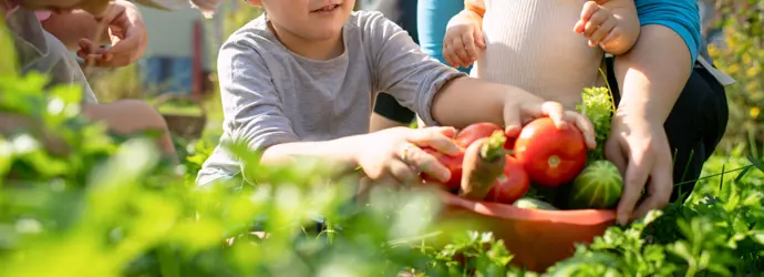 Eine Familie sammelt reife Tomaten in einem verwilderten Garten.