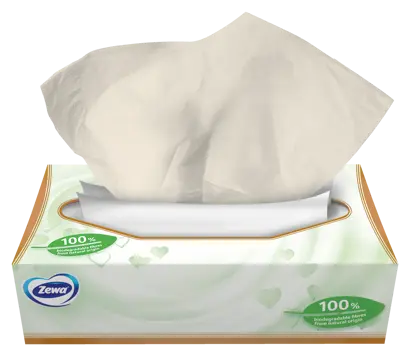 Zewa Natural Soft – Gondoskodás neked és gondoskodás a természetnek
