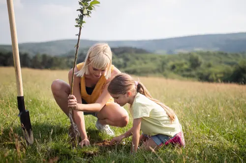 Eine Frau und ein junges Mädchen pflanzen einen Baum auf einem offenen Feld.