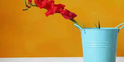 Fußleisten reinigen: einfach Schmutz und Staub entfernen