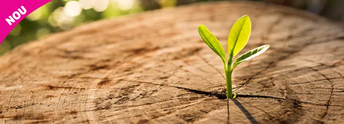 Zewa ECO Comfort - Ecomonică pentru buget, prietenoasă cu mediul