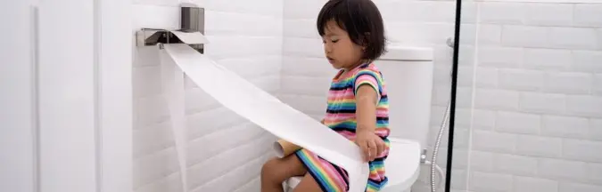 Toilettenpapiere