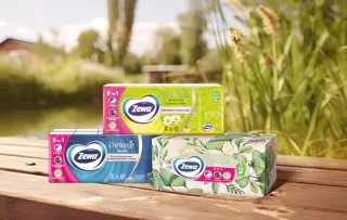 Șervețelele Zewa, la îndemană în orice situație