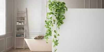 4 Deko‑Ideen fürs Badezimmer