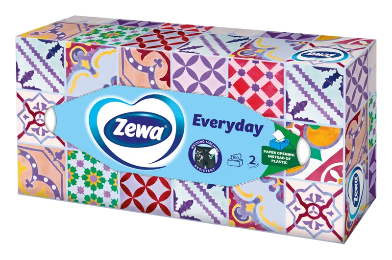 EverydayEveryday Main 100