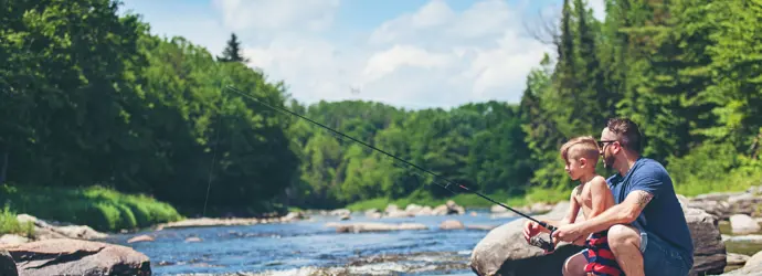 Je li razgradljiv WC papir dobar za okoliš