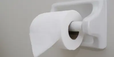 Basteln mit Toilettenpapier: Origami falten