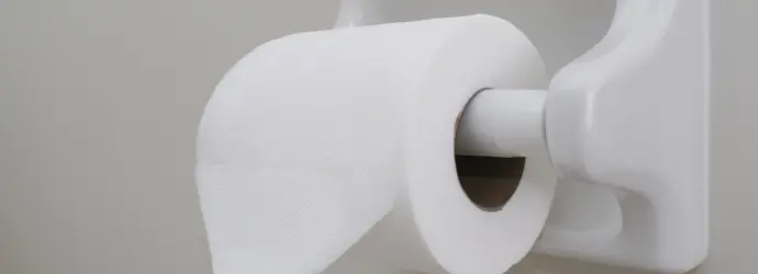 Basteln mit Toilettenpapier: Origami falten