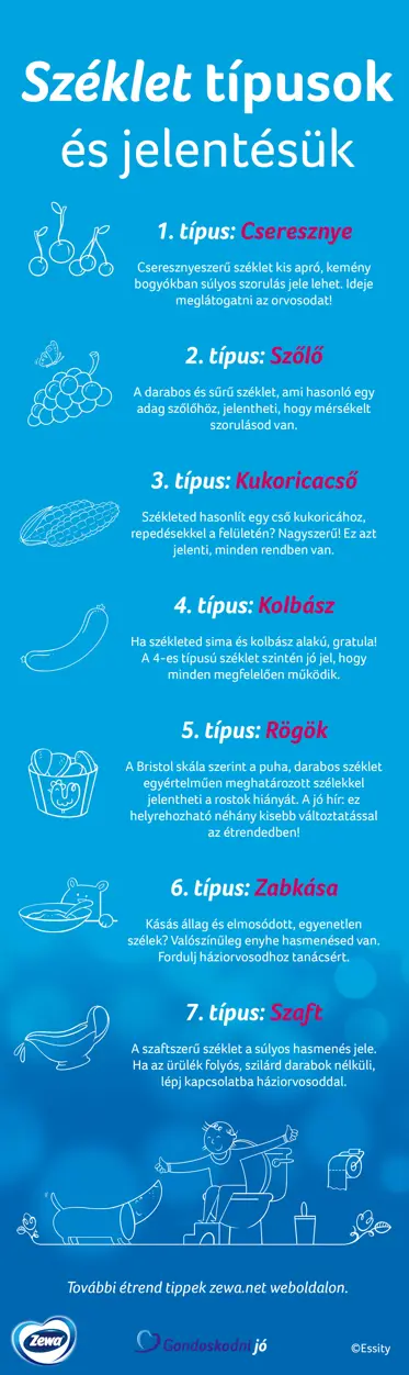 Kék színű diagram a 7 széklet típusról, mely bemutatja a széklet fajtákat és jelentésüket szöveggel és rajzolt ábrákkal.