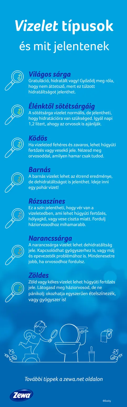 Vizeletszínek listája és leírása fehér képpel, amelyen egy személy nagyítóval néz a WC-be.